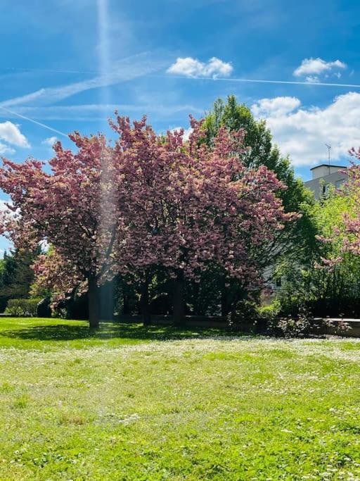 Studio Situe A 5 Min Du Chateau De Versailles Et Stationnement Gratuit Versalhes Exterior foto